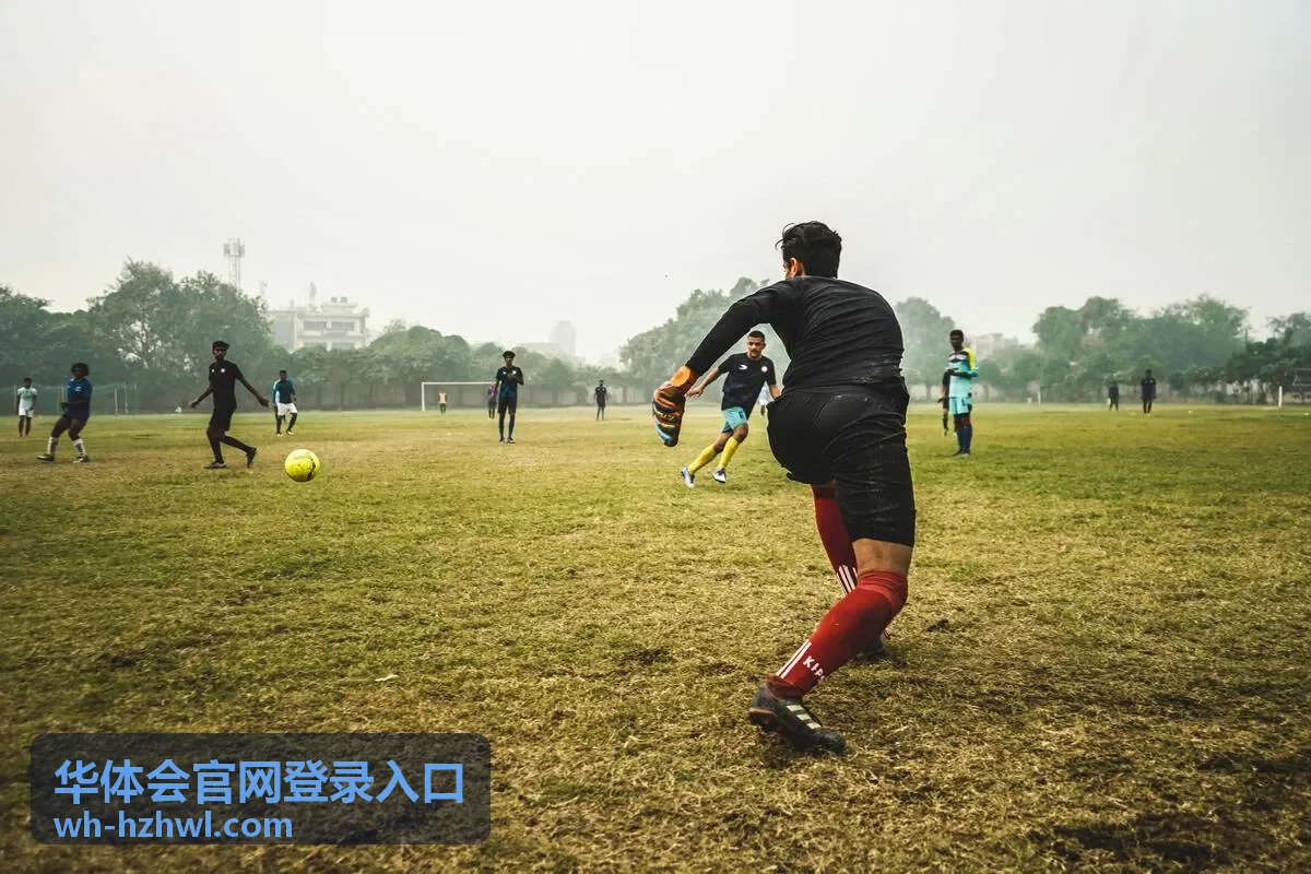 华体会官网登录入口账号登录界面操作示意