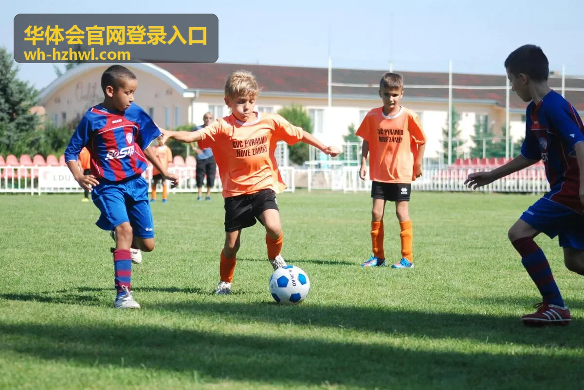 华体会官网登录入口账号安全提醒示意
