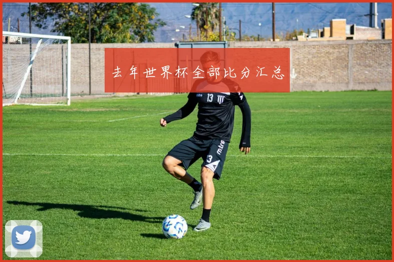 去年世界杯全部比分汇总